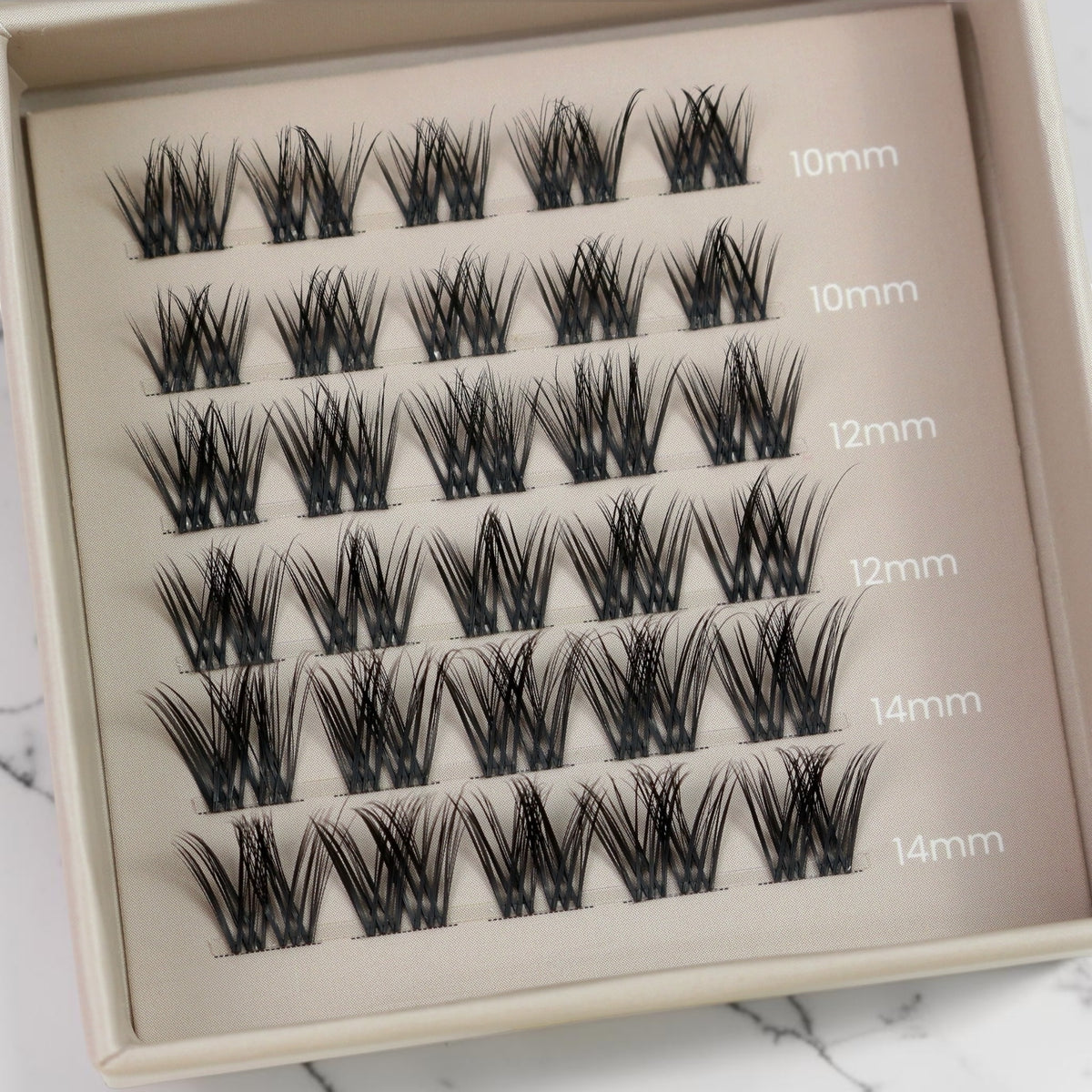 Lash Heaven | 6 æsker