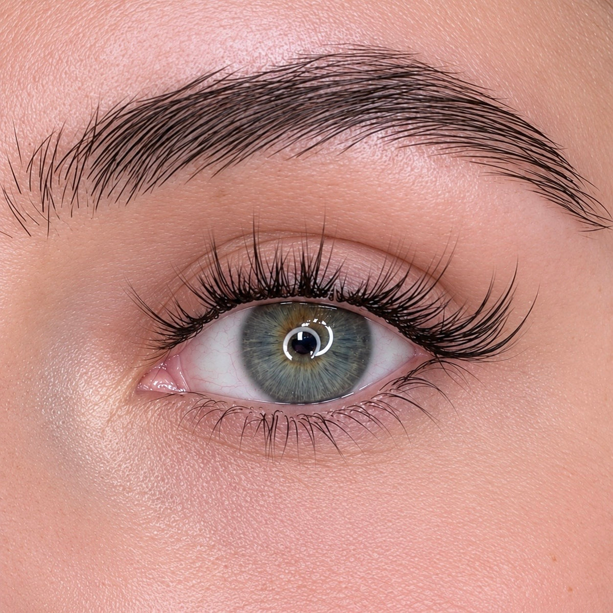 Maia Lash Clusters