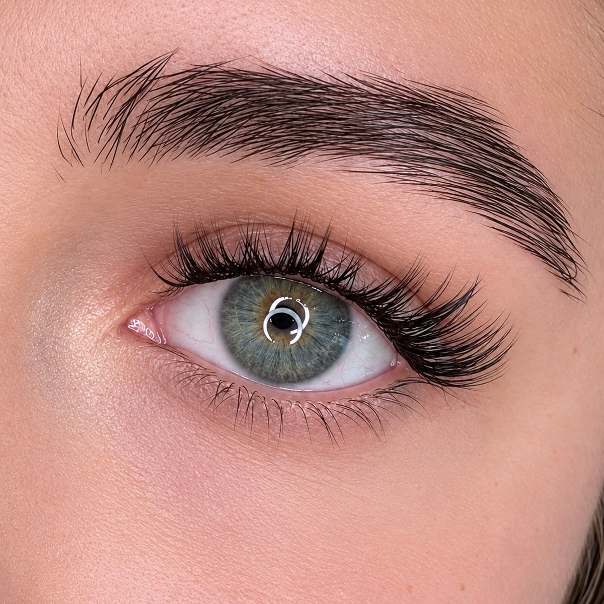 Luna Lash Clusters